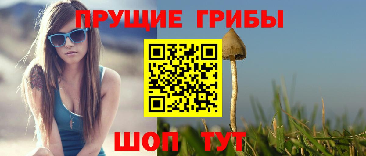 Псилоцибиновые грибы ЛСД Северск