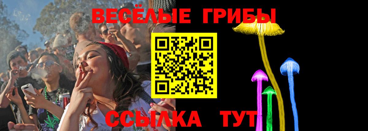 Северск  Галлюциногенные грибы ЛСД  Вход с VPN 