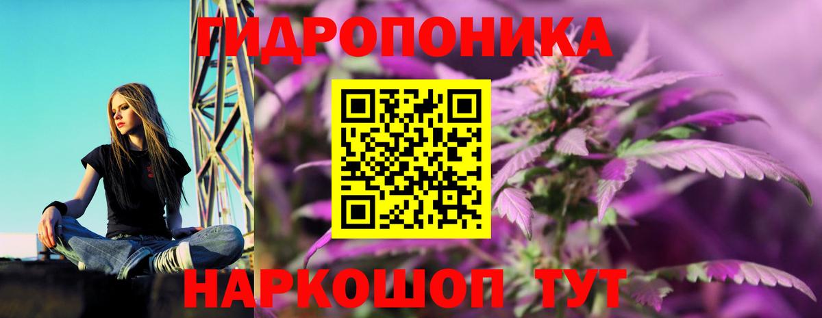 Шишки марихуана марихуана Северск